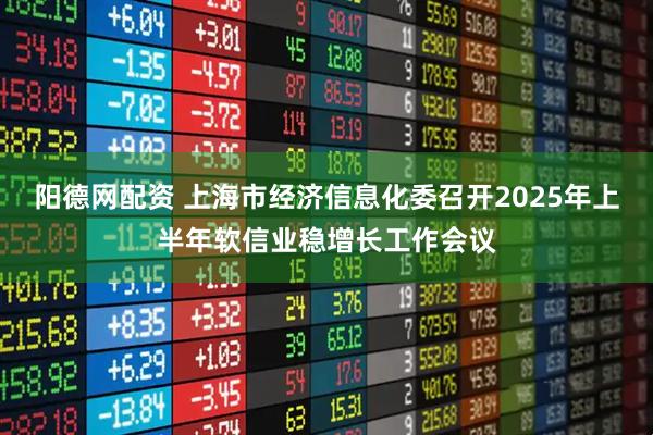 阳德网配资 上海市经济信息化委召开2025年上半年软信业稳增长工作会议